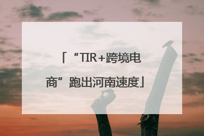 “TIR+跨境电商”跑出河南速度