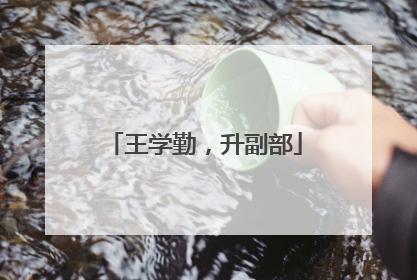 王学勤，升副部