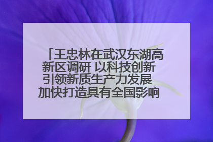 王忠林在武汉东湖高新区调研 以科技创新引领新质生产力发展 加快打造具有全国影响力的科技创新高地