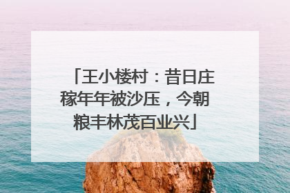 王小楼村：昔日庄稼年年被沙压，今朝粮丰林茂百业兴