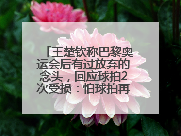 王楚钦称巴黎奥运会后有过放弃的念头，回应球拍2次受损：怕球拍再坏用副板练习