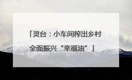 灵台：小车间榨出乡村全面振兴“幸福油”