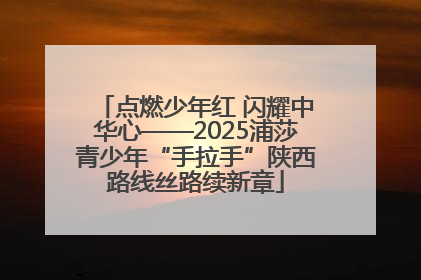 点燃少年红 闪耀中华心——2025浦莎青少年“手拉手”陕西路线丝路续新章