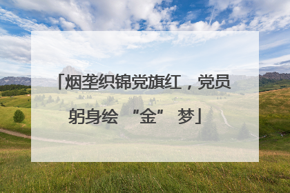 烟垄织锦党旗红，党员躬身绘 “金” 梦