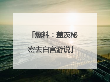 爆料：盖茨秘密去白宫游说