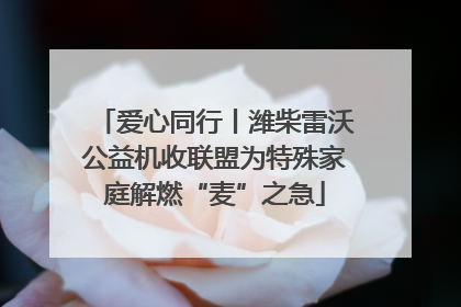 爱心同行丨潍柴雷沃公益机收联盟为特殊家庭解燃“麦”之急