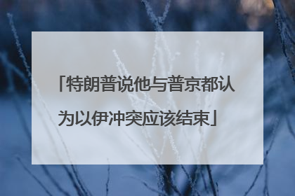 特朗普说他与普京都认为以伊冲突应该结束