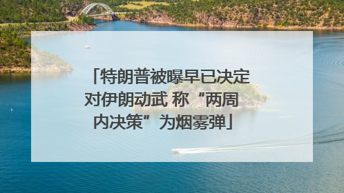 特朗普被曝早已决定对伊朗动武 称“两周内决策”为烟雾弹