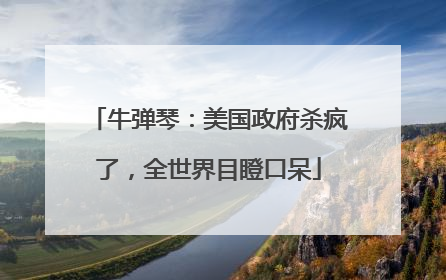 牛弹琴：美国政府杀疯了，全世界目瞪口呆