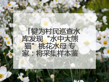 犍为村民巡查水库发现“水中大熊猫”桃花水母 专家：将采集样本鉴定具体种属