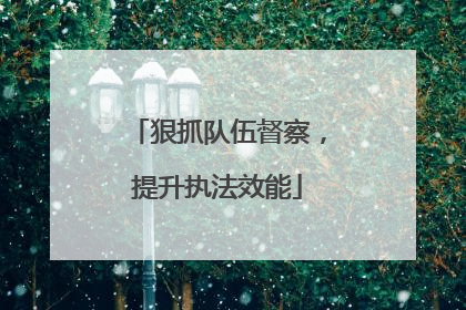 狠抓队伍督察，提升执法效能