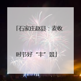 石家庄赵县：麦收时节好“丰”景