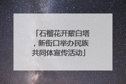石榴花开耀白塔，新街口举办民族共同体宣传活动