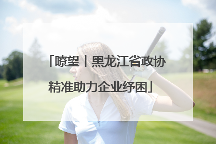 瞭望丨黑龙江省政协精准助力企业纾困