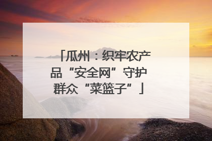 瓜州：织牢农产品“安全网”守护群众“菜篮子”