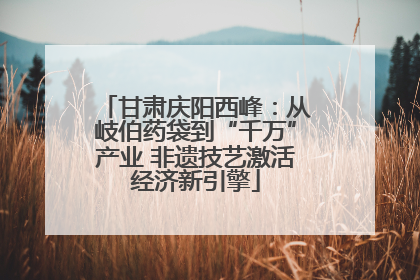 甘肃庆阳西峰：从岐伯药袋到“千万”产业 非遗技艺激活经济新引擎