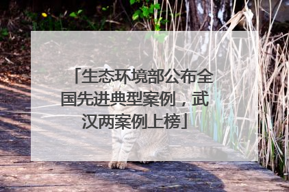 生态环境部公布全国先进典型案例，武汉两案例上榜