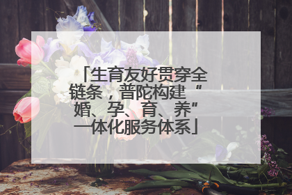 生育友好贯穿全链条，普陀构建“婚、孕、育、养”一体化服务体系