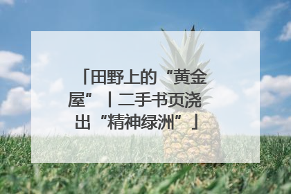 田野上的“黄金屋”丨二手书页浇出“精神绿洲”