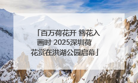 百万荷花开 簪花入画时 2025深圳荷花赏在洪湖公园启幕