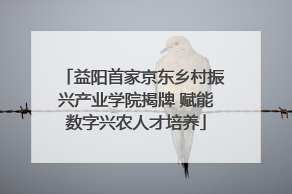 益阳首家京东乡村振兴产业学院揭牌 赋能数字兴农人才培养