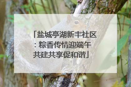盐城亭湖新丰社区：粽香传情迎端午 共建共享促和谐