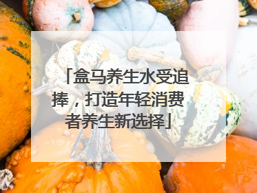 盒马养生水受追捧，打造年轻消费者养生新选择