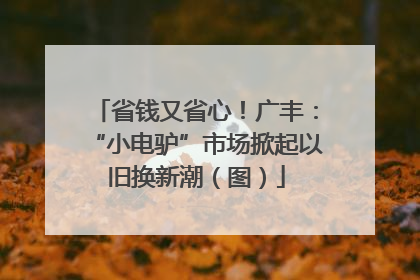 省钱又省心！广丰：“小电驴”市场掀起以旧换新潮（图）