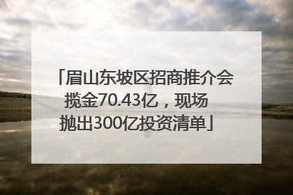 眉山东坡区招商推介会揽金70.43亿，现场抛出300亿投资清单