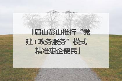眉山彭山推行“党建+政务服务”模式 精准惠企便民