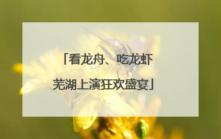 看龙舟、吃龙虾 芜湖上演狂欢盛宴