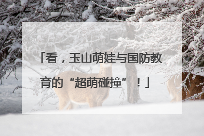 看，玉山萌娃与国防教育的“超萌碰撞”！
