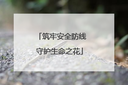 筑牢安全防线 守护生命之花