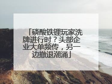 磷酸铁锂玩家洗牌进行时？头部企业大单频传，另一边撤退潮涌