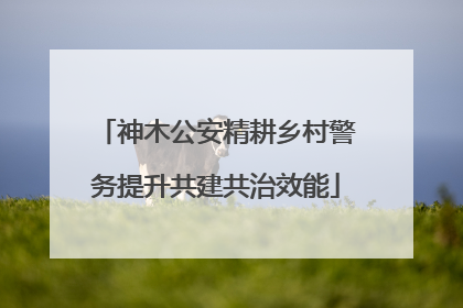 神木公安精耕乡村警务提升共建共治效能
