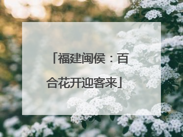 福建闽侯：百合花开迎客来