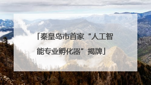 秦皇岛市首家“人工智能专业孵化器”揭牌