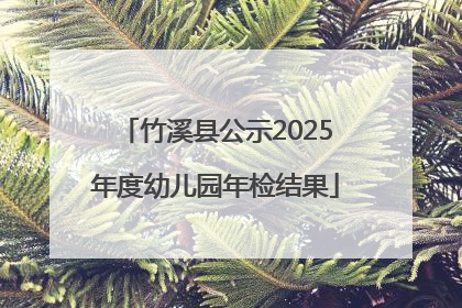 竹溪县公示2025年度幼儿园年检结果