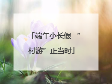 端午小长假 “村游”正当时