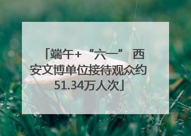 端午+“六一” 西安文博单位接待观众约51.34万人次