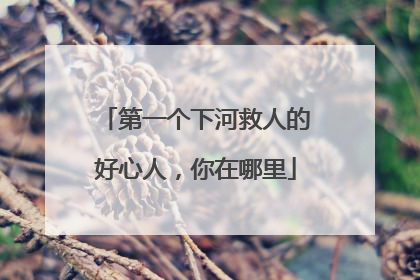 第一个下河救人的好心人，你在哪里