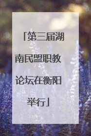 第三届湖南民盟职教论坛在衡阳举行