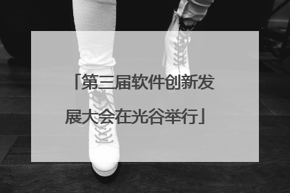 第三届软件创新发展大会在光谷举行