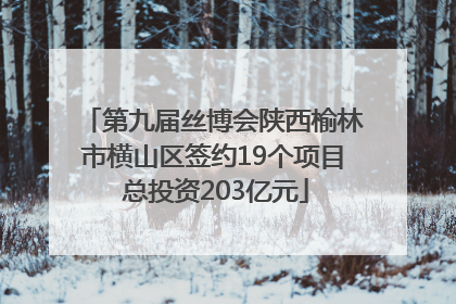 第九届丝博会陕西榆林市横山区签约19个项目 总投资203亿元