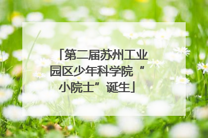 第二届苏州工业园区少年科学院“小院士”诞生