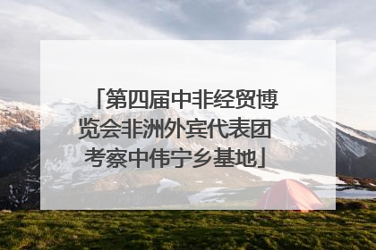 第四届中非经贸博览会非洲外宾代表团考察中伟宁乡基地
