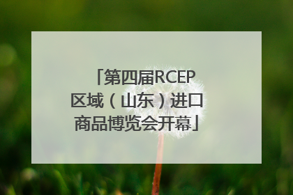 第四届RCEP区域（山东）进口商品博览会开幕