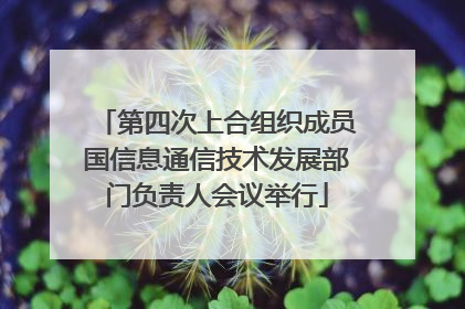 第四次上合组织成员国信息通信技术发展部门负责人会议举行