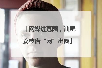 网媒进荔园，汕尾荔枝借“网”出圈