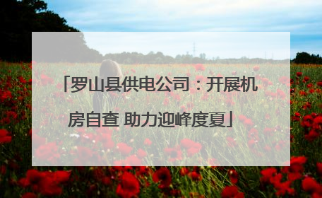 罗山县供电公司：开展机房自查 助力迎峰度夏